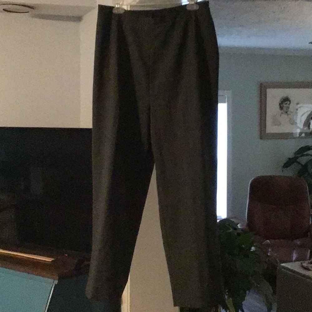Dress Pants- Sag Harbor- 16W Mossy Green